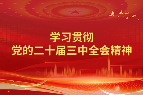 学习贯彻党的二十届三中全会精神