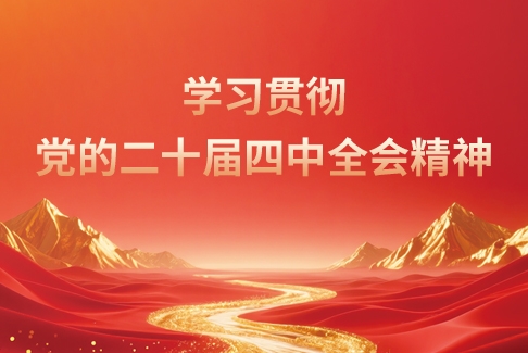 学习贯彻党的二十届四中全会精神