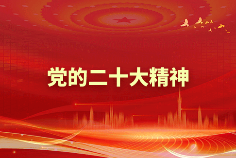 党的二十大精神